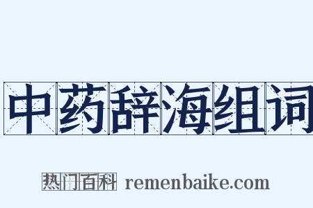 中药辞海组词是什么意思的图片